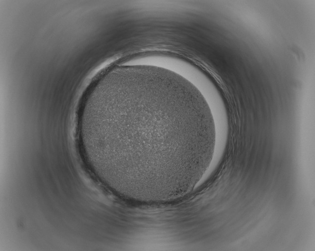 X0000113600724200910091520