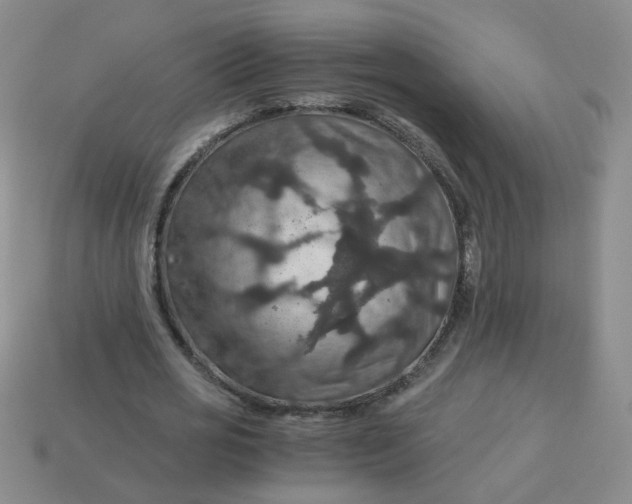 X0000113600725200910091520