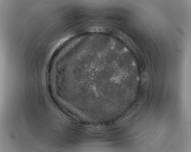 X0000113600727200910091520