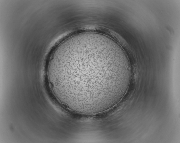 X0000113600728200910091520