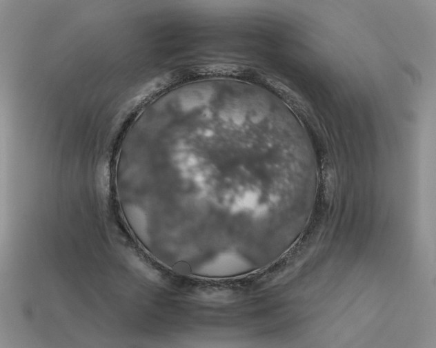 X0000113600729200910091520