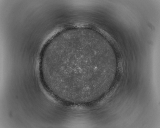 X0000113600730200910091520