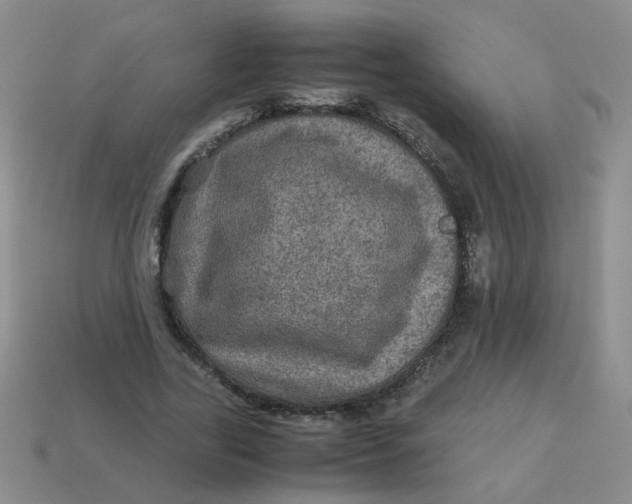 X0000113600731200910091520