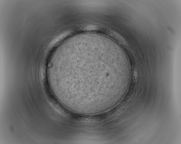 X0000113600732200910091520