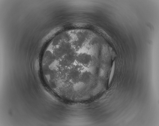 X0000113600734200910091520