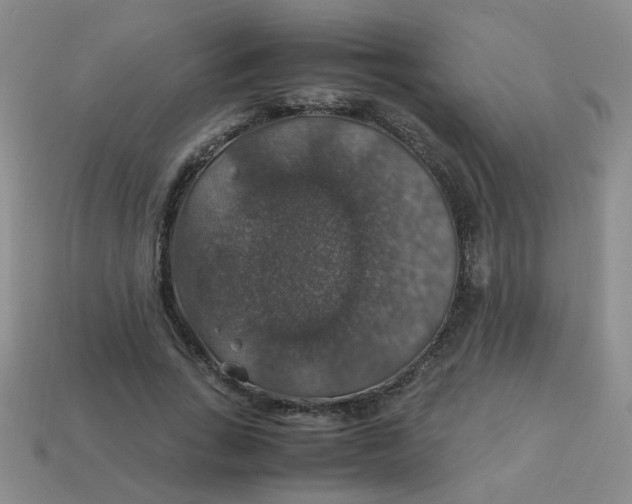 X0000113600735200910091520