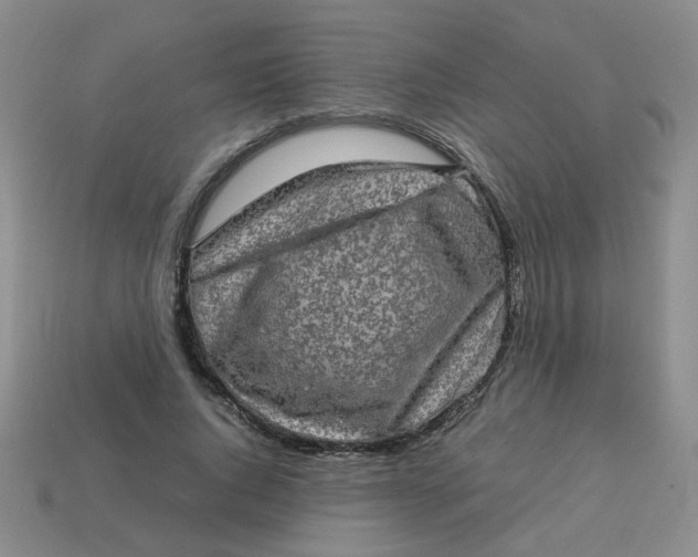 X0000113600736200910091520