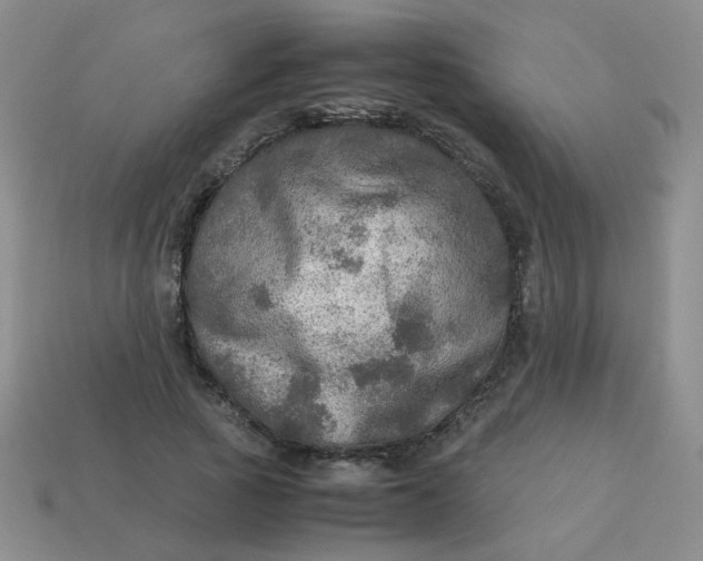 X0000113600737200910091520