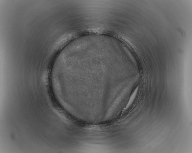 X0000113600738200910091520