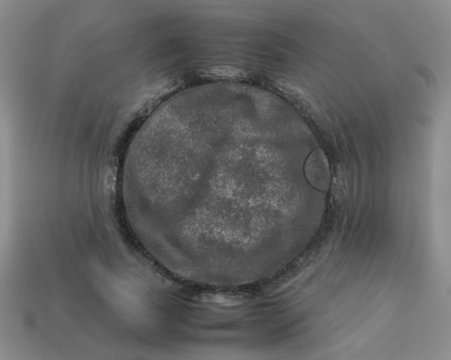 X0000113600739200910091520