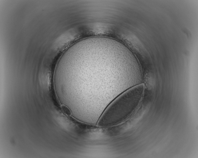 X0000113600740200910091520