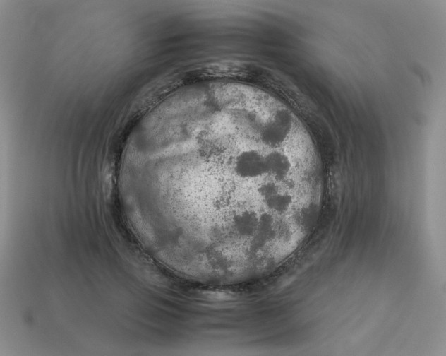 X0000113600741200910091520