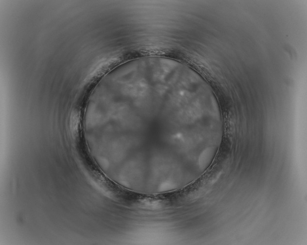 X0000113600742200910091520