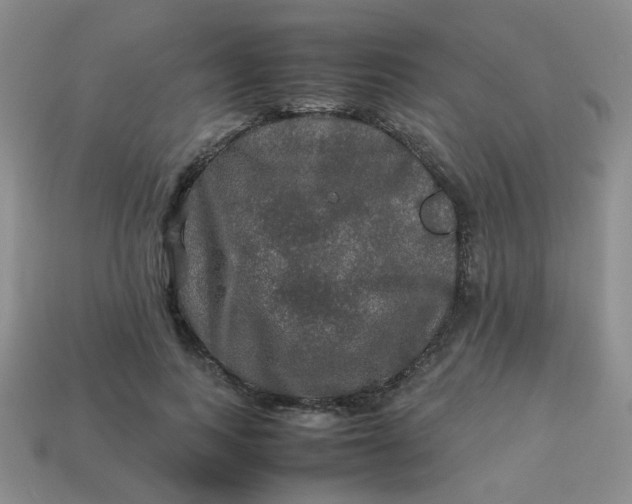 X0000113600743200910091520