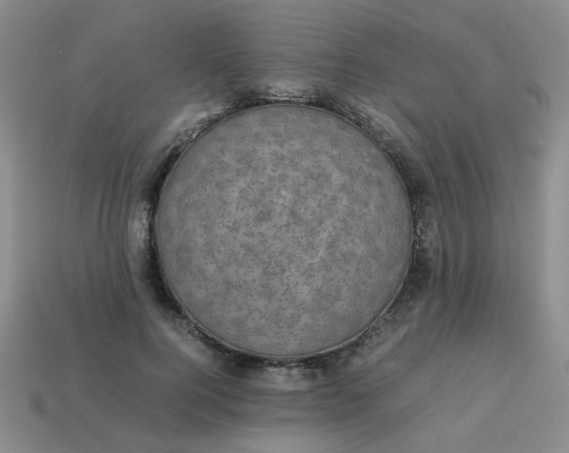 X0000113600744200910091520