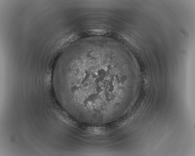 X0000113600745200910091520