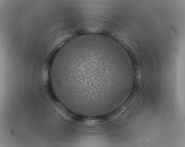 X0000113600746200910091520