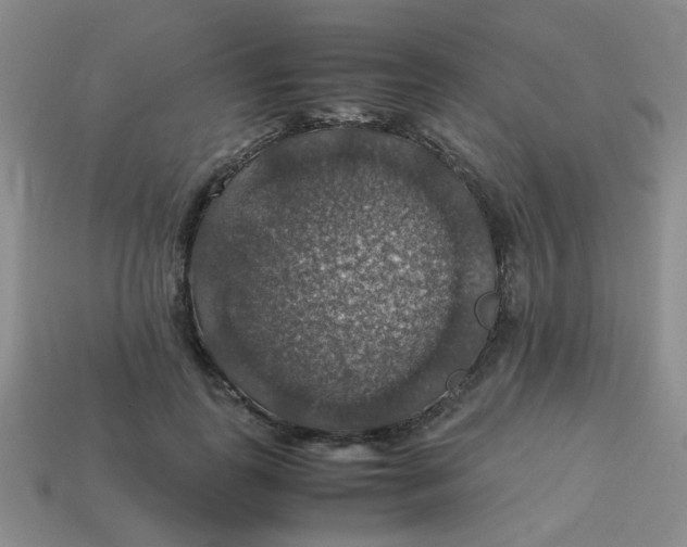 X0000113600747200910091520