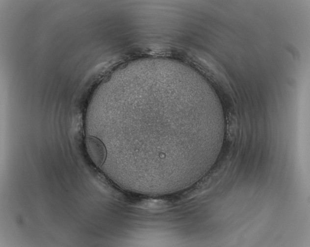 X0000113600748200910091520