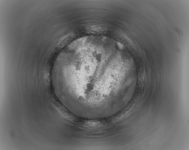 X0000113600749200910091520