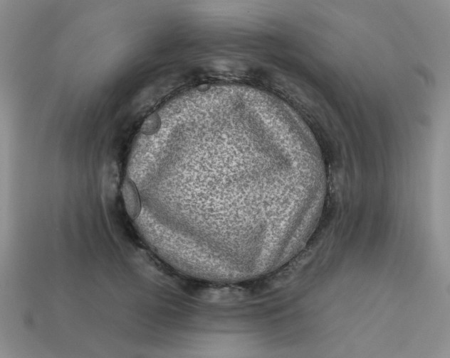 X0000113600752200910091520