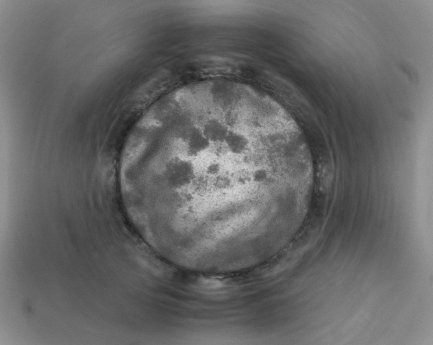 X0000113600753200910091520