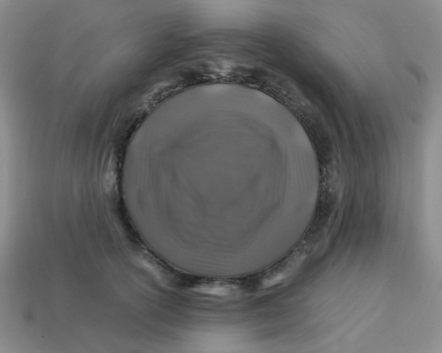 X0000113600754200910091520