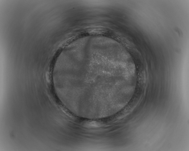 X0000113600755200910091520