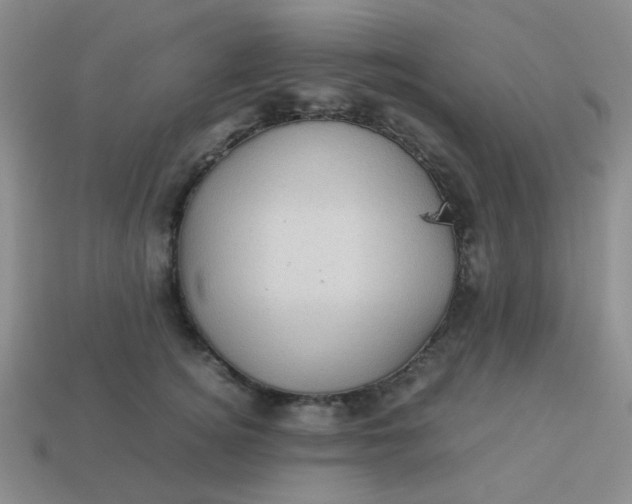 X0000113600756200910091520