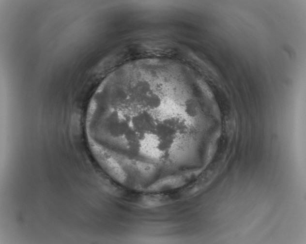 X0000113600757200910091520