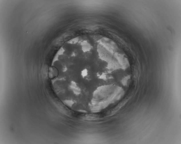 X0000113600758200910091520