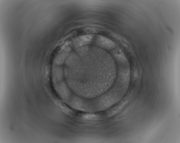 X0000113600759200910091520