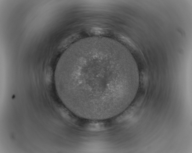 X0000113600760200910091520