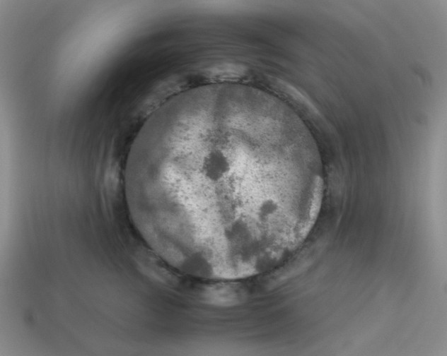 X0000113600761200910091520