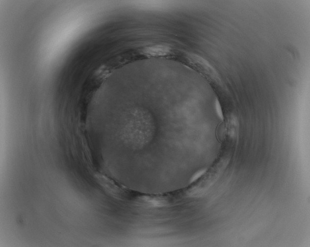 X0000113600763200910091520