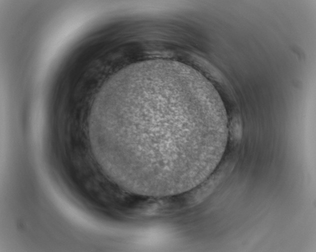 X0000113600764200910091520