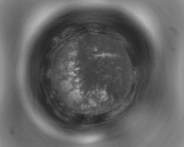 X0000113600765200910091520