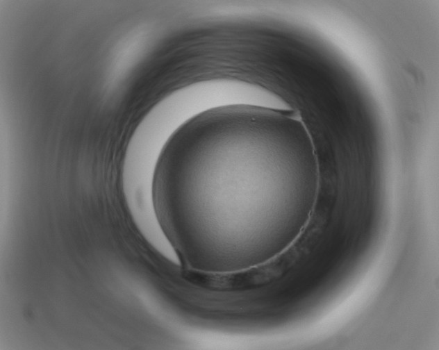 X0000113600766200910091520