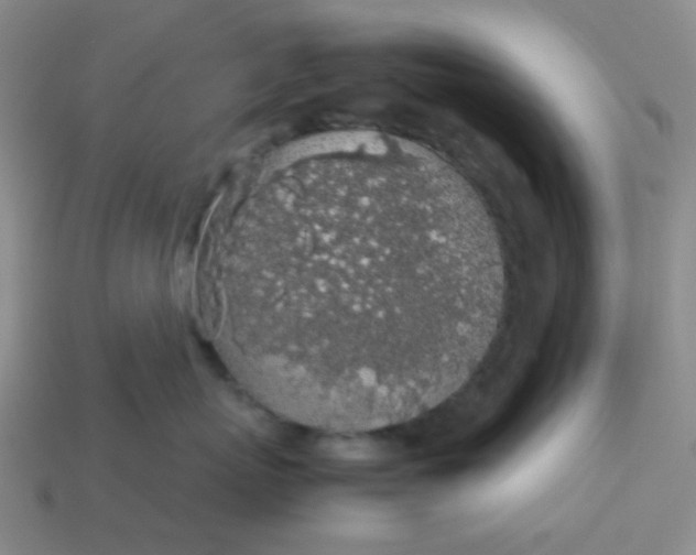 X0000113600767200910091520