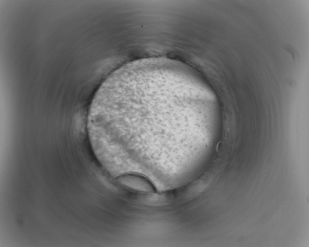 X0000113600768200910091520