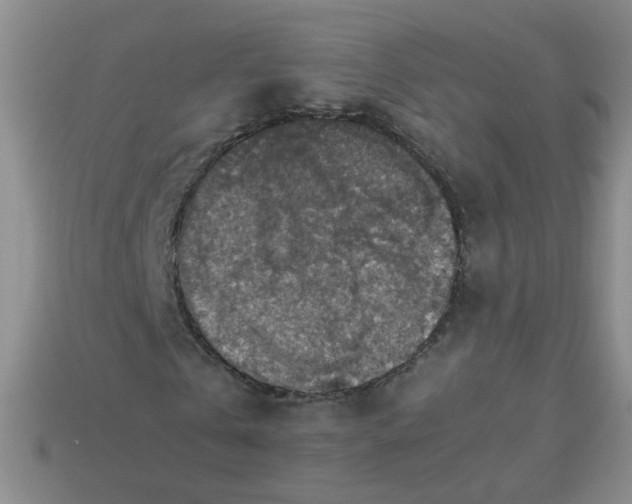 X0000113600769200910091520