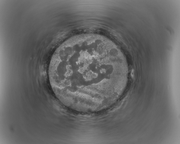 X0000113600771200910091520