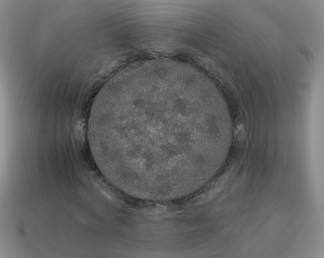 X0000113600772200910091520