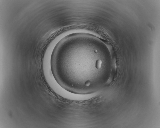 X0000113600773200910091520