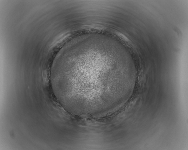 X0000113600774200910091520