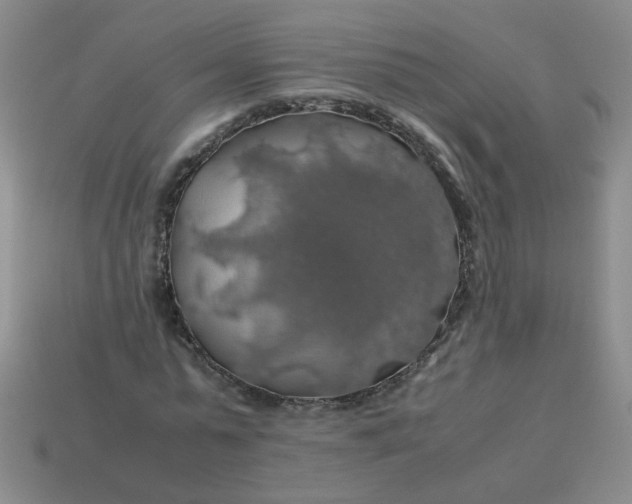 X0000113600775200910091520