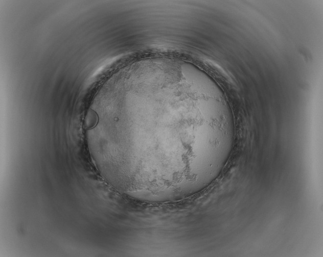 X0000113600776200910091520