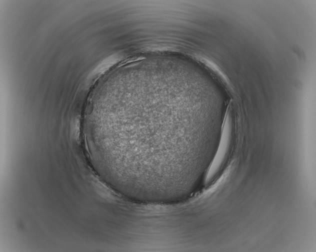 X0000113600777200910091520