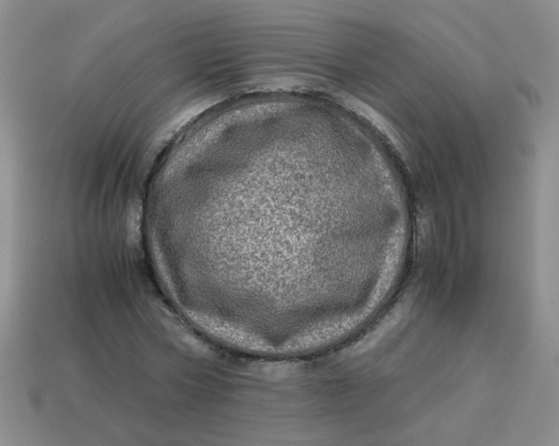 X0000113600778200910091520