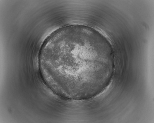 X0000113600782200910091520